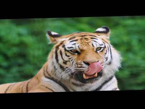 Top 10 Things to Do & Places to Go in Miskolc (Hungary)