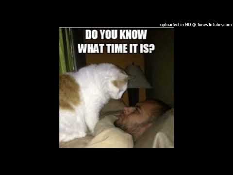 HCM Dj vs Dj Noizer - Industrial Strength Sampler