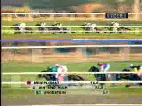 2013.10.26 Internationales St. Leger (AUT) - Autor