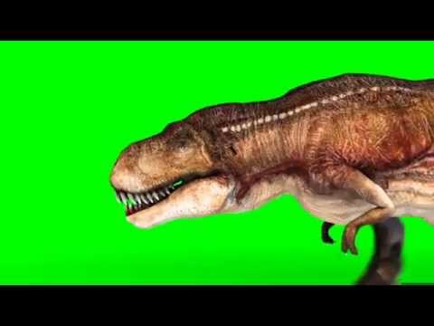 Green Screen Tyrannosaurus T Rex Run Various Angles Loop - Footage PixelBoom