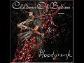 CHILDREN OF BODOM - BLOODDRUNK (ISOLATED GUITAR)