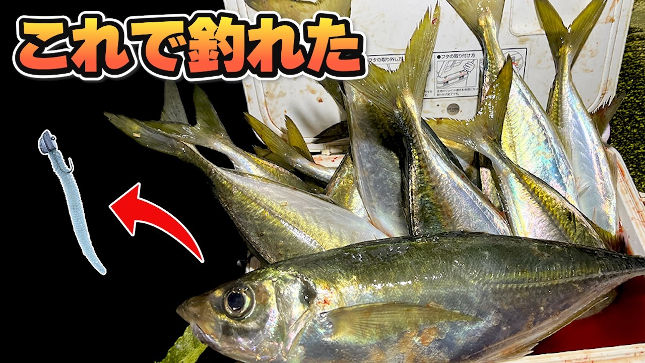 アジングに行ったら...まさかの尺アジが入れ食いに！この組み合わせが最強でした…