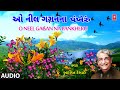 O NEEL GAGAN NA PANKHERU Audio Avinashi Amrat Aashit Desai RAMESH GUPTA Gujarati Sugam Sangeet