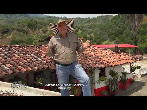 CAFÉ   CACAO   CITRICOS   AGUACATE   PLATANO    FINCA SAN JOSE    CAP 2 VITERBO   CALDAS