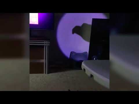 Starting to lose my mind