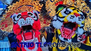 Download lagu Barongan SATRIO TLOGO BUDOYO Gemparkan Tembilutan Sumberejo Bonang mp3