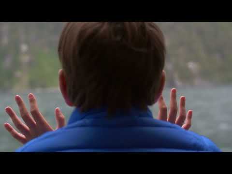 Clu Tronix - "Fireflies" (feat Laquan Green)