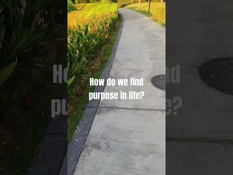 Uncovering meaning in every moment. #motivational #life #quotes #viral #shorts