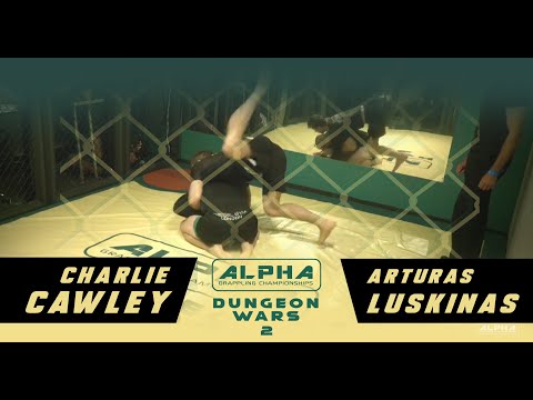 DW2   Charlie Cawley v Arturas Luskinas