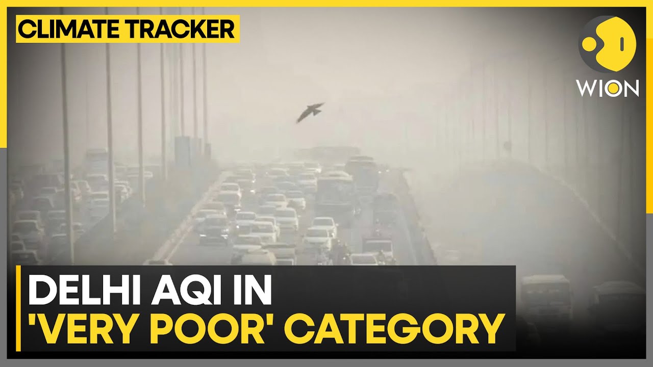 Delhi AQI: Fog & Low Visibility Hit Flight Operations, Indigo Issues Advisory | WION CLIMATE TRACKER