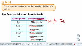 Eğitim Vadisi 11.Sınıf Biyoloji 5.Föy Duyu Organları 4 (Burun, Dil, Deri) Konu Anlatım Videoları