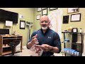 Dr. Thornell- Psoas stretch, strengthen