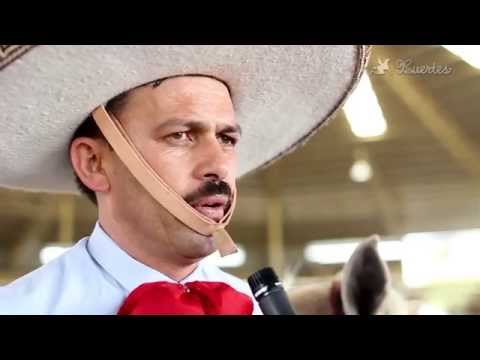 Charro tips: Juan Soltero (rope walker)