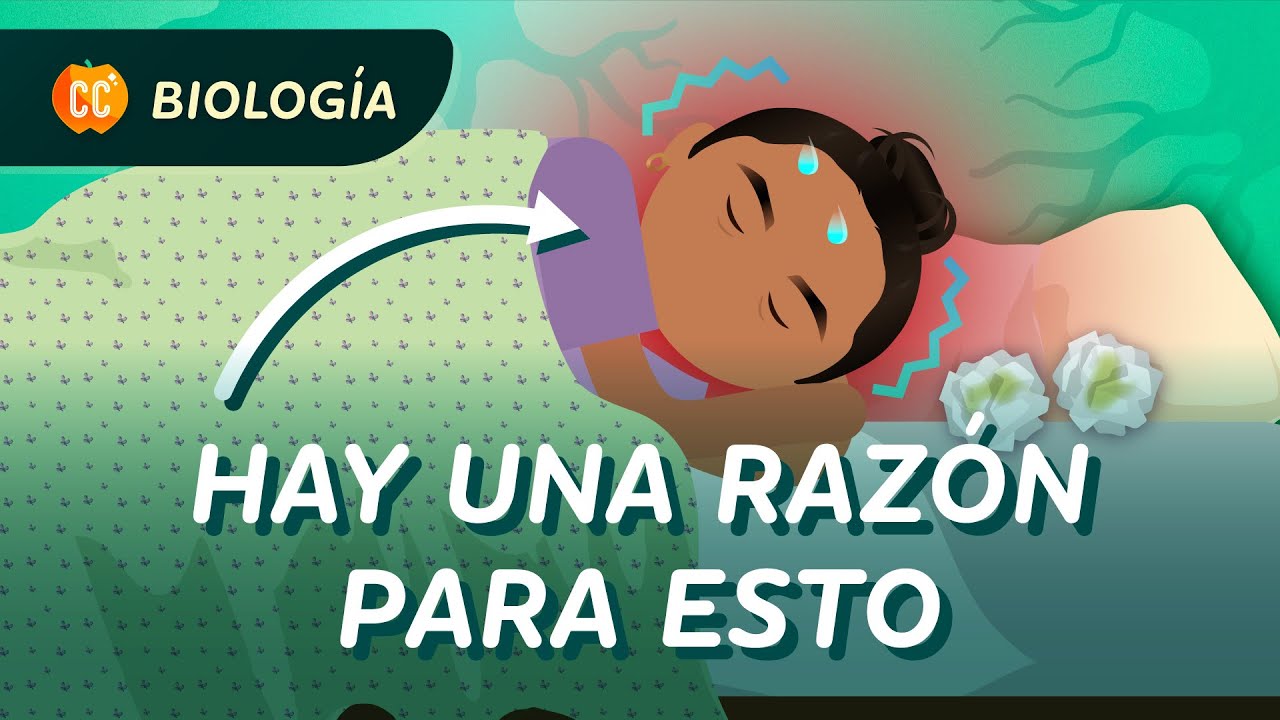 Mocos, piel grasa y fiebres: Sistemas de defensa de los animales: Crash Course Biología #45