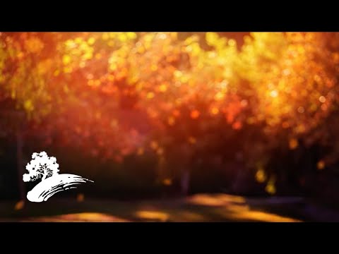 Autumn Dreams - Green Hill Music [Fall Visualizer]