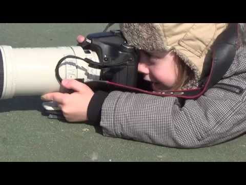 Grześ i Marysia Fotografują Łabędzie Krzykliwe