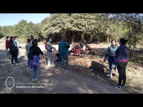 El Gobierno comenzó un plan de contingencia contra el dengue