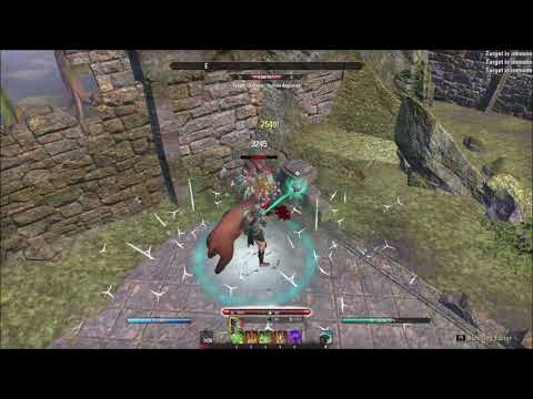 ESO Stamina Warden (2H) 40.2k Solo Robust Dummy + Explanation - Summerset PTS