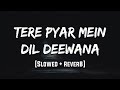 Tere Pyar Mein Dil Deewana Coolie No 1 Slowed Reverb LoFi Mood 90 S