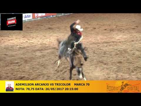 ADEMILSON ARCANJO VS TRICOLOR MARCA 70- BY RODEIO DIGITAL 26052017201500