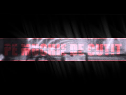 Seva - Pe Muchie De Cuțit (Lyrics Video)