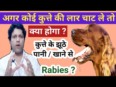 Kutte Ke Jhoothe Se Rabies? Sach Jaanne Ke Baad Hairan Reh Jaoge