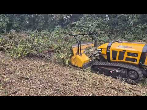 Vegetation Clearance - Machinery for hire - Image 2