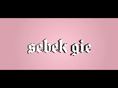sebek gie - dzieci koty