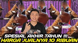Download lagu EDAN ! HARGA BURUNG CILILIN AKHIR TAHUN 2025 TERNYATA CUMA SEGINI DIKIOS PASAR BURUNG PRAMUKA mp3 Download lagu EDAN ! HARGA BURUNG CILILIN AKHIR TAHUN 2025 TERNYATA CUMA SEGINI DIKIOS PASAR BURUNG PRAMUKA mp3
