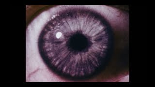 Sarah Fimm - Teacher (Official Music Video)