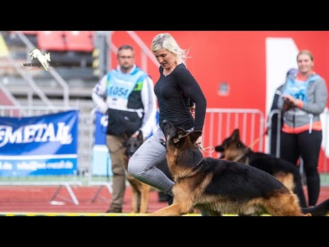 BSZS - 2023🏆 || VA Females Result || world Winners ||