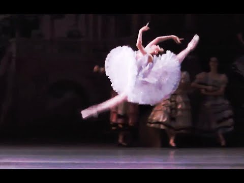 Renata Shakirova - Laurencia Variation & Fouettes 2015 (VBA Graduation Performance)