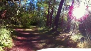 Elkhorn Campground Video
