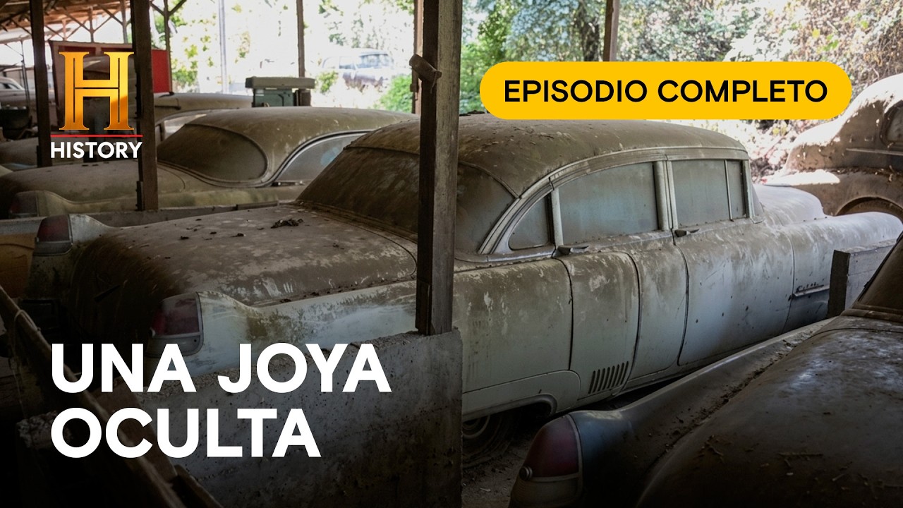 ¡Encontraron una "Jungla" de CADILLACS abandonados! 🚗 - Cazadores de Tesoros - Episodio Completo