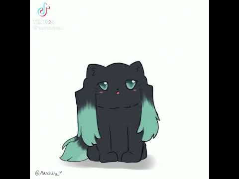 Meowchiro💙 #muichiro #meow #tokitoedit #demonslayer #fyp #anime