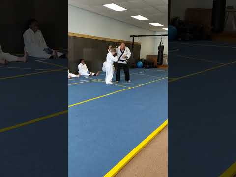 Mini Me #shorts #sports #mma #martialarts #karate #southcarolina