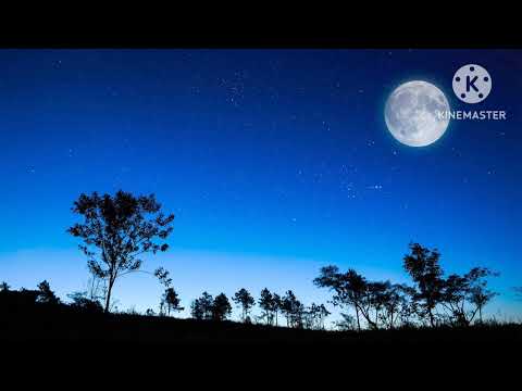 Vầng trăng qua đời - Nam Vĩnh