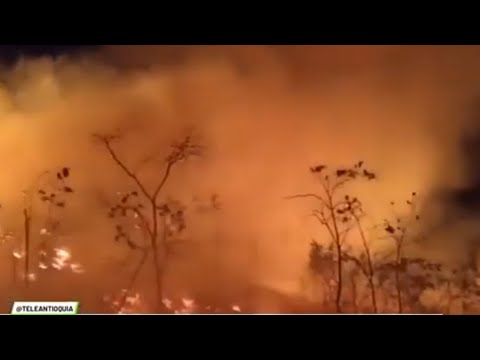 Campamento: incendio podría afectar bocatoma - Teleantioquia Noticias