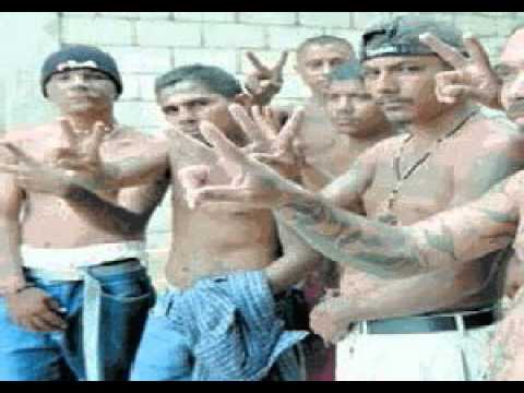 Lucio Mella - Queremos Verte Fluir