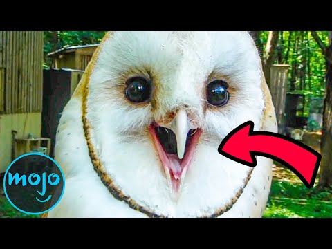 Top 10 Creepiest Real Life Animal Sounds
