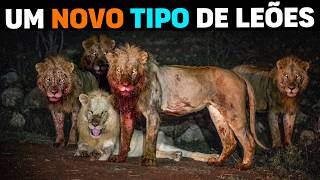 🚨 NÃO SÃO NORMAIS! Surgiu o bando de LEÕES MAIS TEMIDOS da África (DOCUMENTÁRIO COMPLETO)
