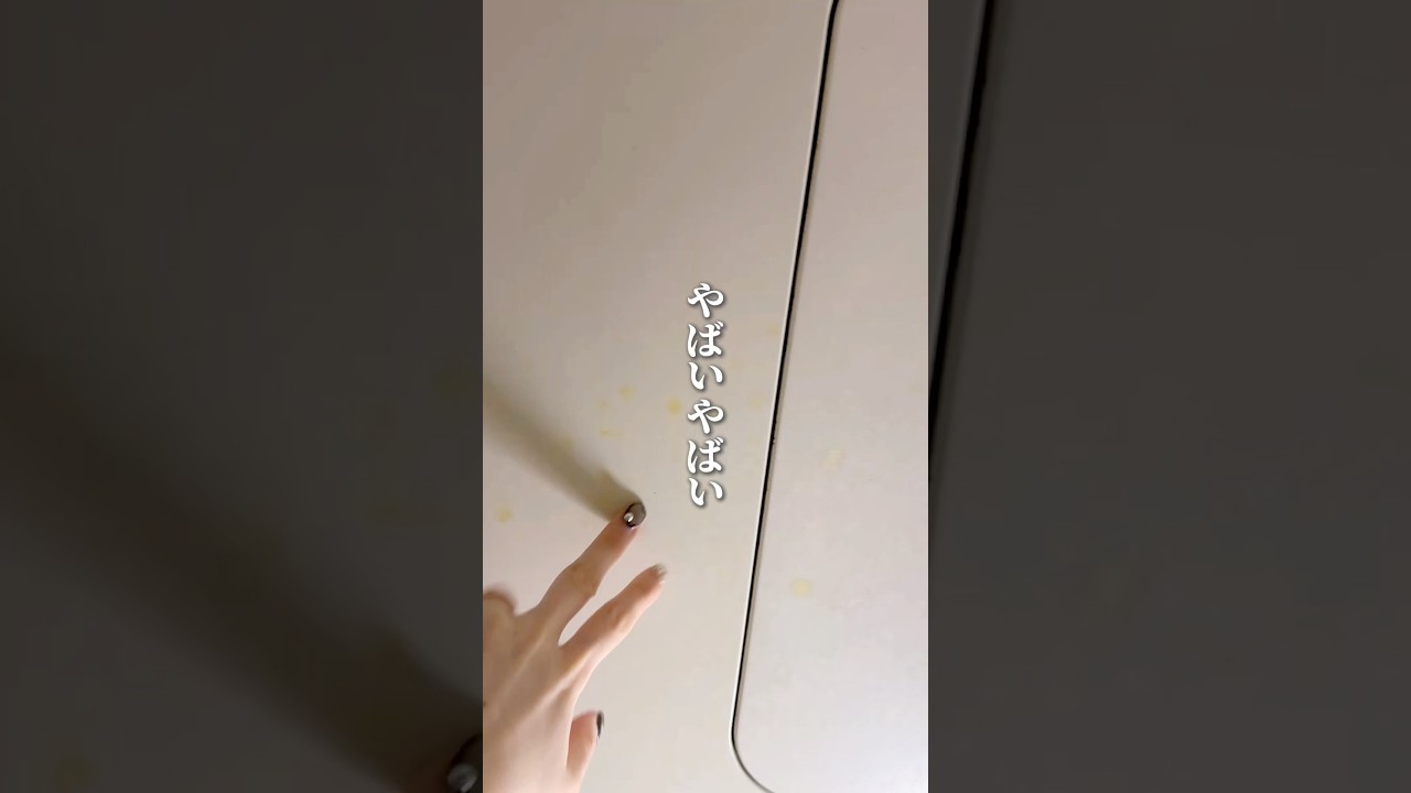 友達が来る日のお掃除ズボラで掃除が大嫌いなわたしだからモノを減らして早８年・・・！１時間で終わってホッとしたー！みんなは来客前の掃除どうしてる？—————#掃除 #片付け #ミニマリスト