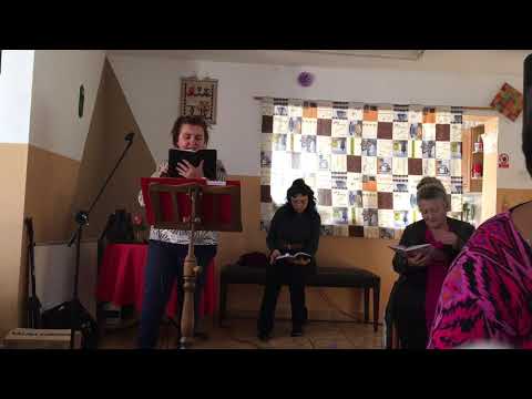 Ligia Seman, Școala de lidere Debora    Despre viziune  1