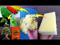 How To Make Realistic Artificial Moss Grass Using Sponge Foam Homemade Green Grass Moss DIY