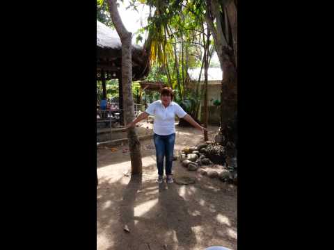 Ngunit kung paano mawalan ng timbang pagkatapos ng 50 taon Kung paano alisin ang video panig lalaki