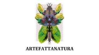 preview picture of video 'ARTEFATTANATURA - BIENNALE ASOLO 2014'