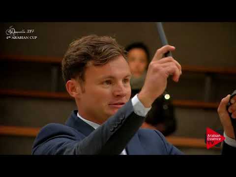 N.80 JAHAMAL DE CARTHEREY - Deauville 2017 - Stallions 4-6 years old (Class 9)