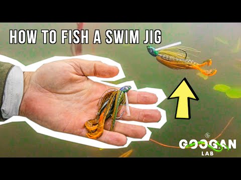 HOW TO FISH A SWIM JIG! ( BASS FISHING BASICS )