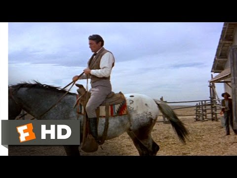 The Big Country (3/10) Movie CLIP - Riding Old Thunder (1958) HD