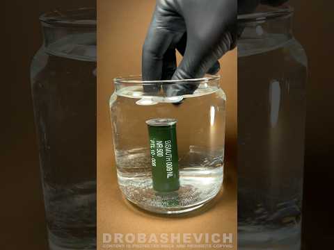 WATERPROOF SHELLS #buckshot #shotgun #ammo #gun #asmr #usa #review #gauge #rare #military